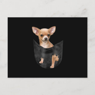 Niedlicher Chihuahua zu Weihnachten in der Tasche Ankündigungspostkarte