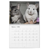 Niedlicher Chinchilla-Kalender 2011 Kalender (Feb 2026)