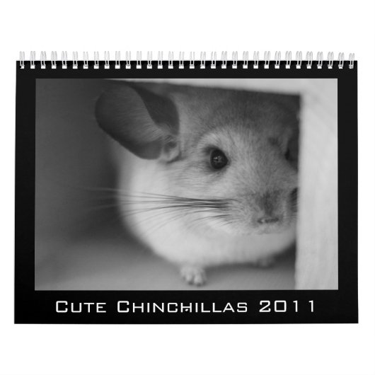 Niedlicher Chinchilla-Kalender 2011 Kalender (Titelbild)