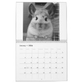 Niedlicher Chinchilla-Kalender 2011 Kalender (Jan 2026)