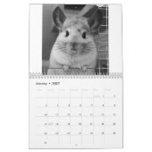 Niedlicher Chinchilla-Kalender 2011 Kalender (Jan 2027)