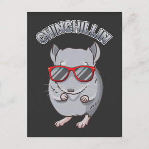 Niedlicher Chinchilla mit Sonnenbrille Postkarte