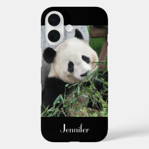 Niedlicher chinesischer Riese Panda Black Trim, In iPhone 16 Hülle