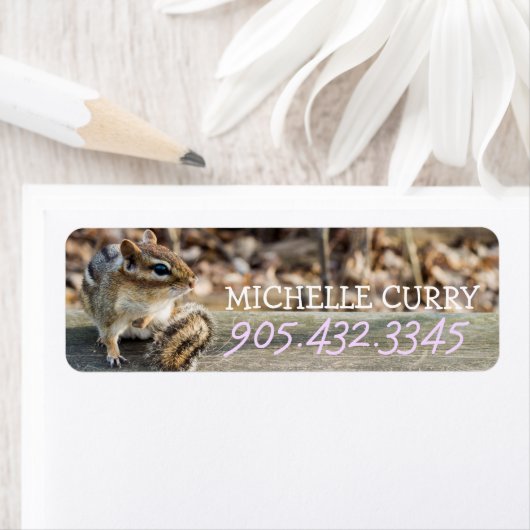 Niedlicher Chipmunk auf Holzbahn im Wald (Insitu)