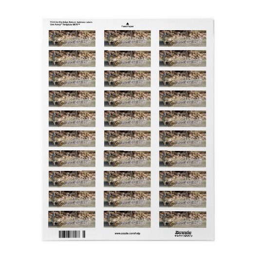 Niedlicher Chipmunk auf Holzbahn im Wald (Vorne)