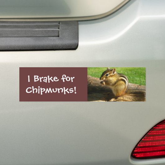 Niedlicher Chipmunk Autoaufkleber (Auf Auto)