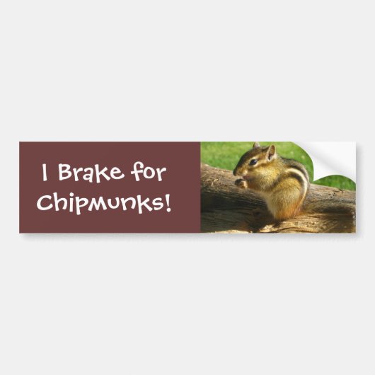 Niedlicher Chipmunk Autoaufkleber (Vorne)