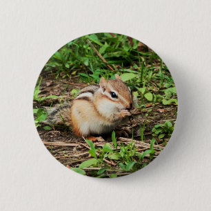 Niedlicher Chipmunk Button