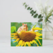 Niedlicher Chipmunk Gelbe Sonnenblumen Foto Malere Postkarte (Stehend Vorderseite)
