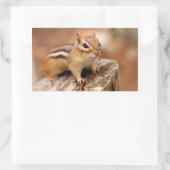 Niedlicher Chipmunk Gewartet Rechteckiger Aufkleber (Tasche)