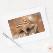 Niedlicher Chipmunk Gewartet Rechteckiger Aufkleber (Umschlag)