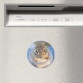 Niedlicher Chipmunk in einem Lebensmittelbehälter Magnet (In Situ (Geschirrspüler))