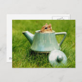 Niedlicher Chipmunk in Teapot Postkarte (Vorne/Hinten)