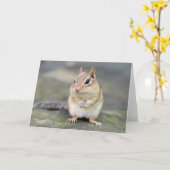 Niedlicher Chipmunk mit Bug Friend Karte (Gelbe Blume)