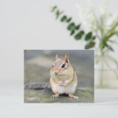 Niedlicher Chipmunk mit Bug Friend Postkarte (Stehend Vorderseite)