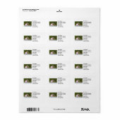 Niedlicher Chipmunk mit dem Funny Money Piggy Bank Adressaufkleber (Vorne)