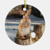 Niedlicher Chipmunk mit den Geweihen Keramikornament (Vorne)