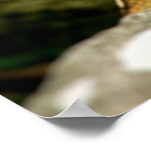 Niedlicher Chipmunk mit großer Leckerei Poster (Ecke)