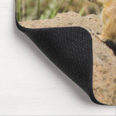 Niedlicher Chipmunk-Peering auf einer Rock-Fotomod Mousepad (Ecke)
