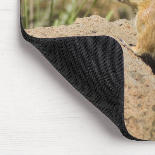 Niedlicher Chipmunk-Peering auf einer Rock-Fotomod Mousepad (Ecke)