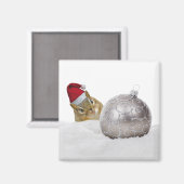 Niedlicher Chipmunk Silver und Schnee Weihnachtsfe Magnet (Vorderseite/Rückseite)