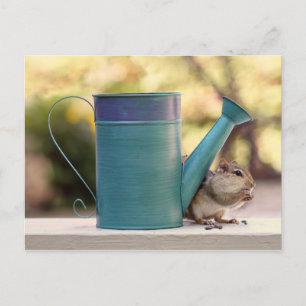Niedlicher Chipmunk und Wassersport Postkarte