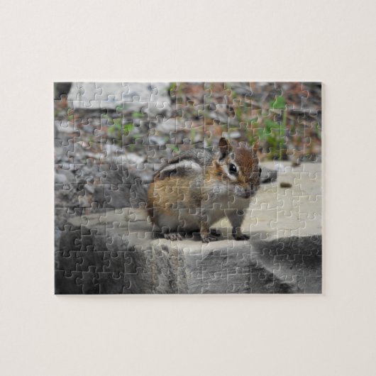 Niedlicher Chipmunk wie Critter auf einem Felsen Puzzle (Horizontal)