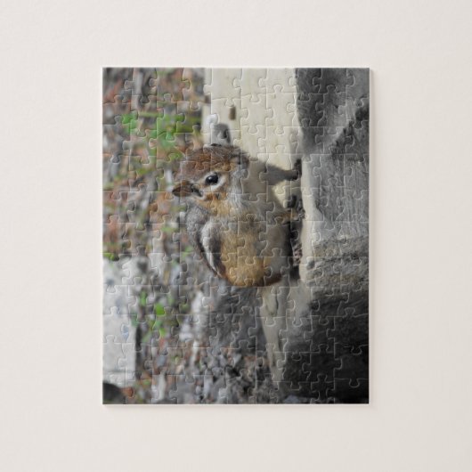 Niedlicher Chipmunk wie Critter auf einem Felsen Puzzle (Vertikal)