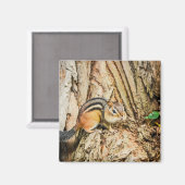 Niedlicher Chipmunk Woodland Animals Nature Square Magnet (Vorderseite/Rückseite)