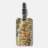 Niedlicher Clown-Fisch-Gepäck-Umbau Gepäckanhänger (Vorderseite vertikal)