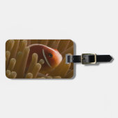 Niedlicher Clownfish Gepäck-Umbau Gepäckanhänger (Vorderseite horizontal)