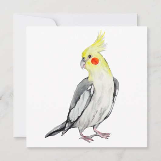Niedlicher Cockatiel-Aquarellpapagei. (Vorderseite)
