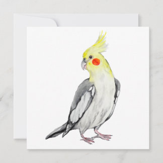 Niedlicher Cockatiel-Aquarellpapagei.