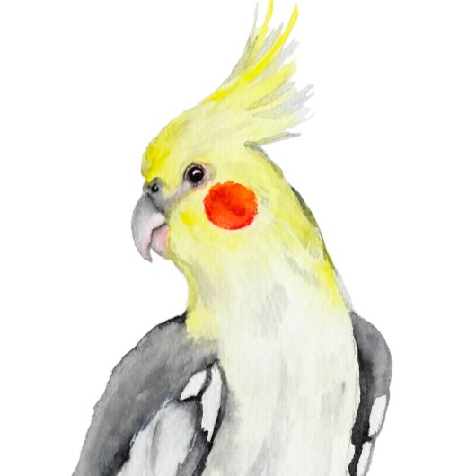 Niedlicher Cockatiel-Aquarellpapagei. Quadratischer Aufkleber