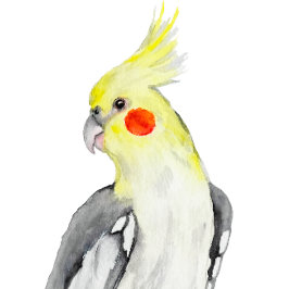 Niedlicher Cockatiel-Aquarellpapagei. Rundes Kissen