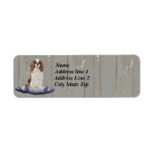 Niedlicher Cocker Spaniel sitzt auf blauem Polster (Vorne)