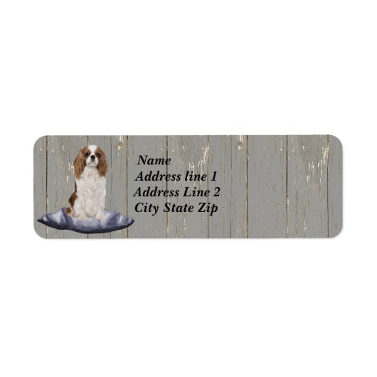 Niedlicher Cocker Spaniel sitzt auf blauem Polster (Vorne)