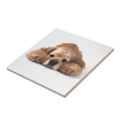 Niedlicher Cockerspaniel Fliese (Seite)