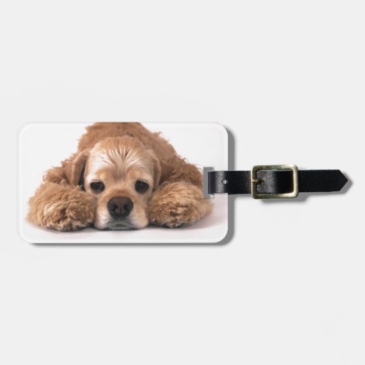 Niedlicher Cockerspaniel Gepäckanhänger (Vorderseite horizontal)
