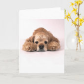 Niedlicher Cockerspaniel Karte (Gelbe Blume)