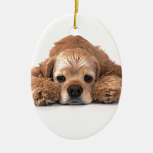 Niedlicher Cockerspaniel Keramikornament
