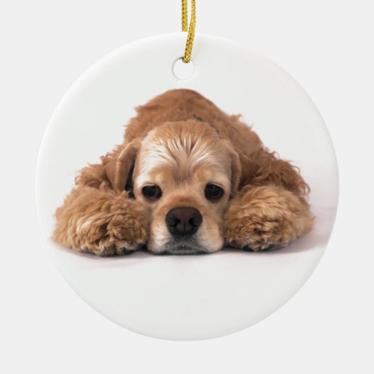 Niedlicher Cockerspaniel Keramikornament (Vorne)