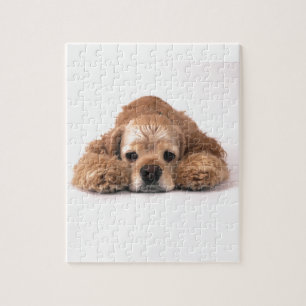 Niedlicher Cockerspaniel Puzzle