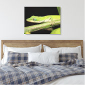 Niedlicher Cooler Spaß Grüne Anole Lizard Tier Leinwanddruck (Insitu (Schlafzimmer))