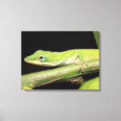 Niedlicher Cooler Spaß Grüne Anole Lizard Tier Leinwanddruck (Vorderseite)