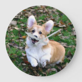 Niedlicher Corgi-Hund springend Große Wanduhr (Vorderseite)
