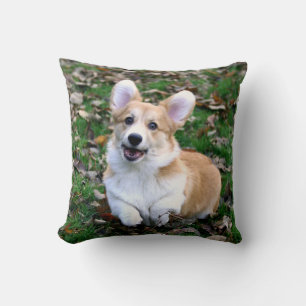 Niedlicher Corgi-Hund springend Kissen