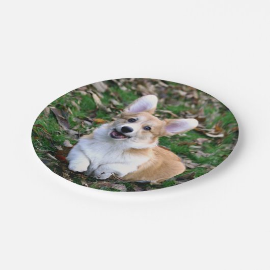 Niedlicher Corgi-Hund springend Pappteller (Schrägansicht)