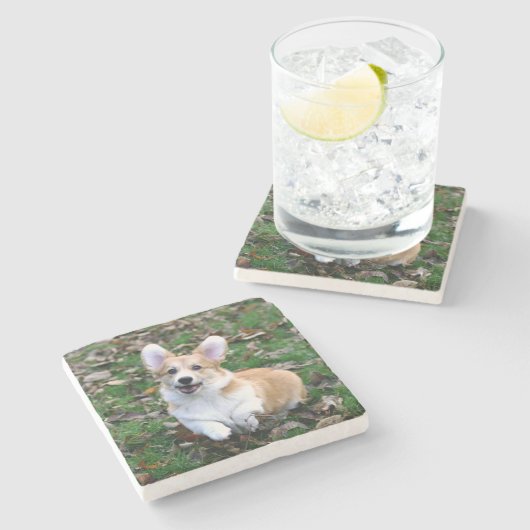 Niedlicher Corgi-Hund springend Steinuntersetzer (Seitenansicht)