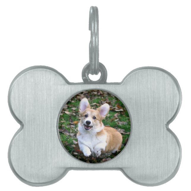 Niedlicher Corgi-Hund springend Tiermarke (Vorderseite)